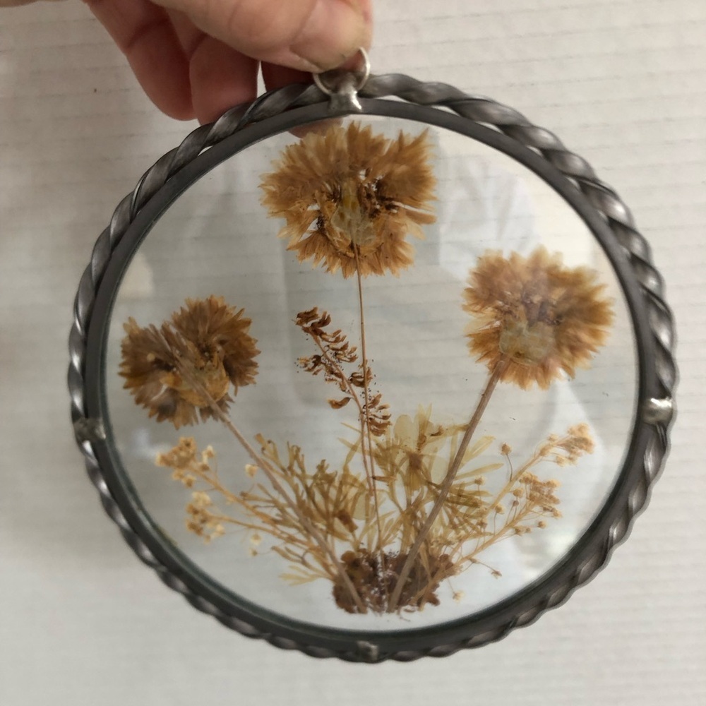 Vtg Pressed Flowers Sun Catcher - Picture 3 of 10